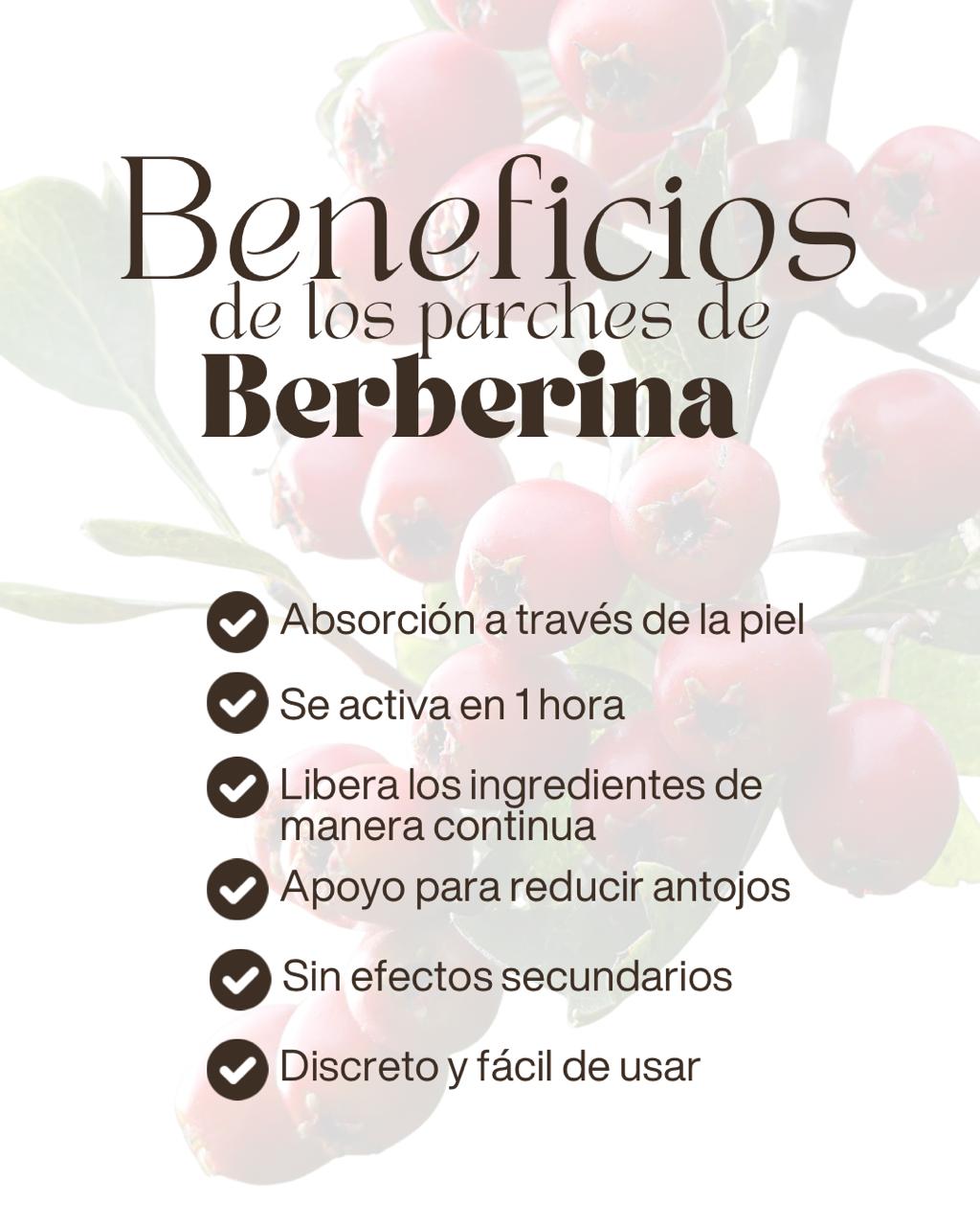Berberina (GLP-1)